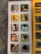 New 10-piece Decorative Glass Magnets