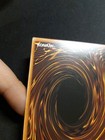 Foto 10 di 12