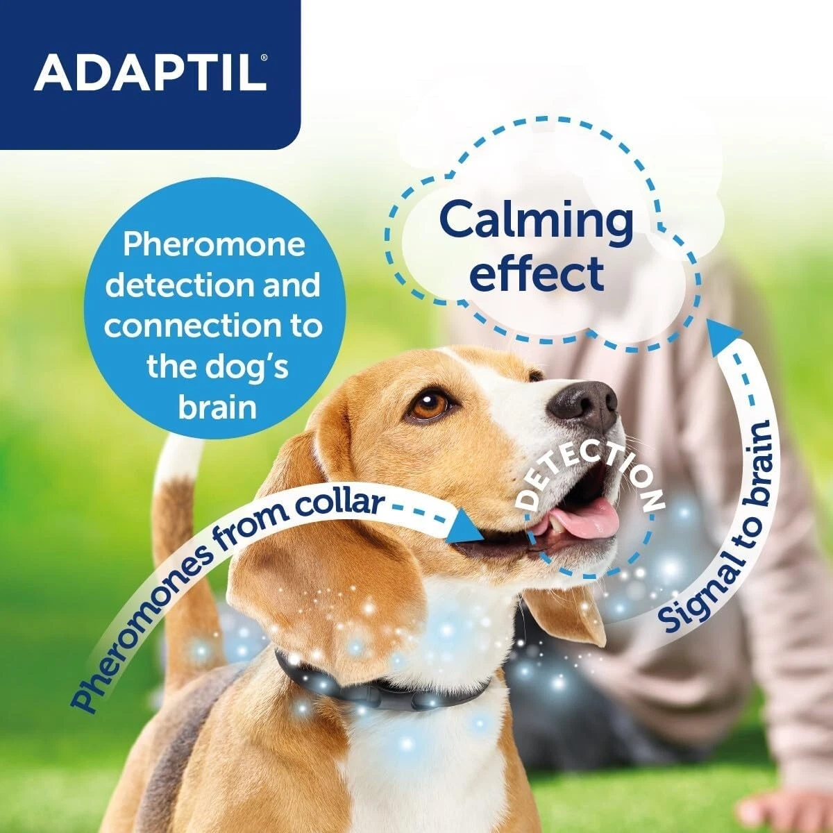 ADAPTIL Calm On the Go Collar Helps Dogs Cope with Behavioural Issues Small