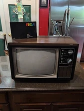 Rare 1975 RCA EU 355E XL-100 Solid State Color TV Working And Clean