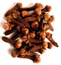 Cloves Wildcrafted Dried Fresh  Syzygium Aromaticum  100 Premium USA