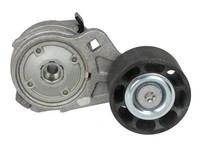 Dayco APV1105 Riemenspanner Keilrippenriemen Passend FüR MERCEDES-BENZ Atego