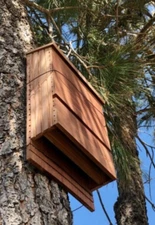 New Outdoor Bat House All Natural Cedar Wood 3 Chamber House Garden Tree New