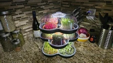 MicroGrow Microgreens Growing Kit System – Countertop easy Superfoods grower