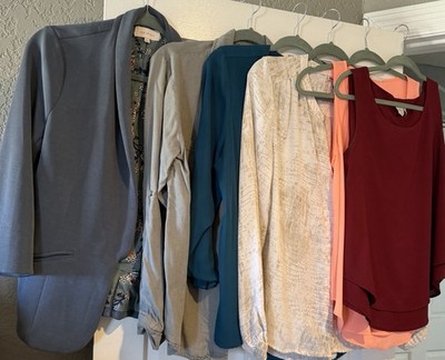 Women's Clothing Lot size M & L. Skies Are Blue, Maurices, all good brands. 