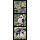 Patchwork Quilting Sewing Fabric Frogs Kookaburra Possum Panel 40x110cm