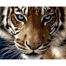 Paint By Numbers Kit Realistic Tiger 40CMx50CM Canvas