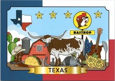 4x6 Postcard - Buc-ee's Bastrop Texas  - Longhorn, Boots Bluebells Cactus- New
