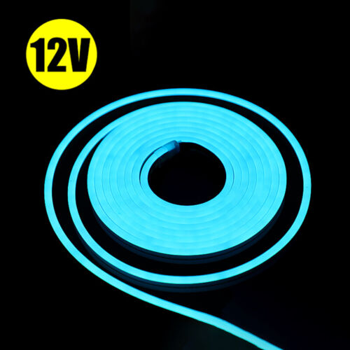 LED Neon Rope Light Strip DC 12V Waterproof Silicone Floor Garden Room Car Decor - Picture 13 of 16