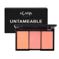 Untameable - 3 Shade Blush Contour Eyeshadow Palette