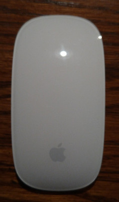 Apple Magic Mouse (AA Battery version)