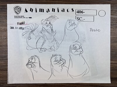 Animaniacs 1992 Production Art Model Studio Copy Warner Brothers Animation Drawn