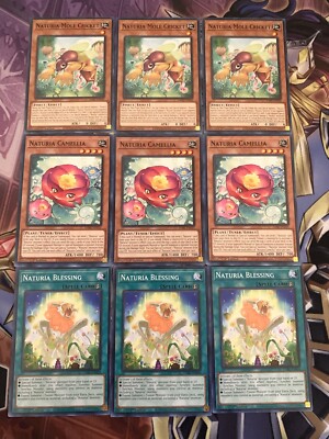 YU-GI-OH! 3x Naturia Core: Mole Cricket, Camellia, Blessing NM DABL HOT