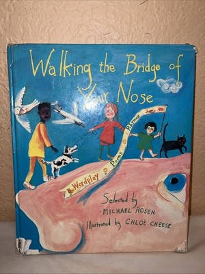 Walking the Bridge of Your Nose: Wordplay Poems  Rhymes - Hardcover - GOOD