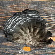 Mini Wild turkey Tail feathers plume art fan Bustle Fly Tying Craft Mount Voodoo