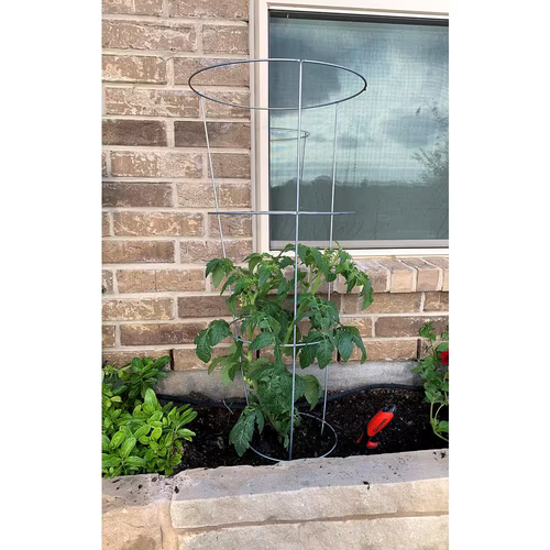 Glamos Wire 54 In. Plant Support (5-Pack) - Picture 2 of 12