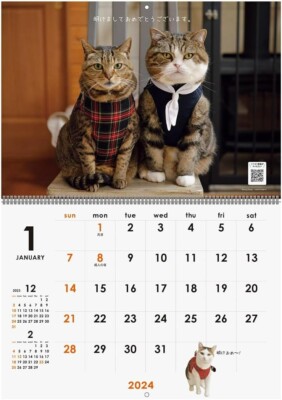 I am MARU. 2024 Calendar Japanese Cat No.045 | eBay