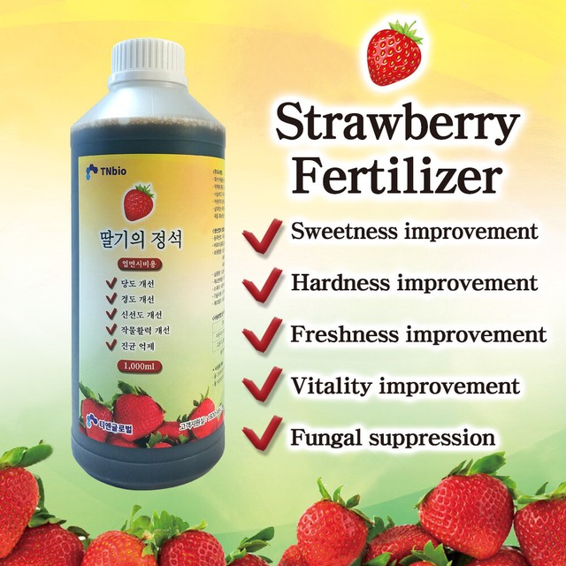 Strawberry Fertilizer 1L Better Sweet & Hard Liquid Plant Crop Feed