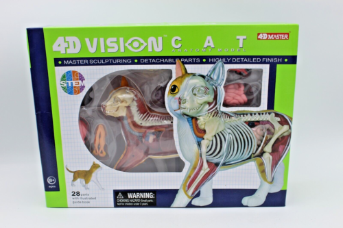 4D Master 4D Vision Orange Tabby Cat Skeleton & Anatomy Model Kit NEW & SEALED - Picture 1 of 11