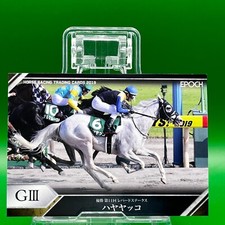 11th Leopard Stakes Hayayakko 79 Horse Racing 2020 EPOCH Card TCG Japanese Rare