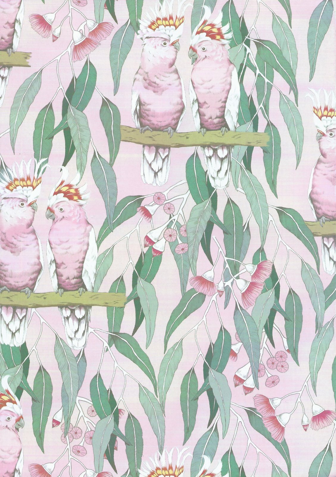 Australiana Wrapping Paper eBay