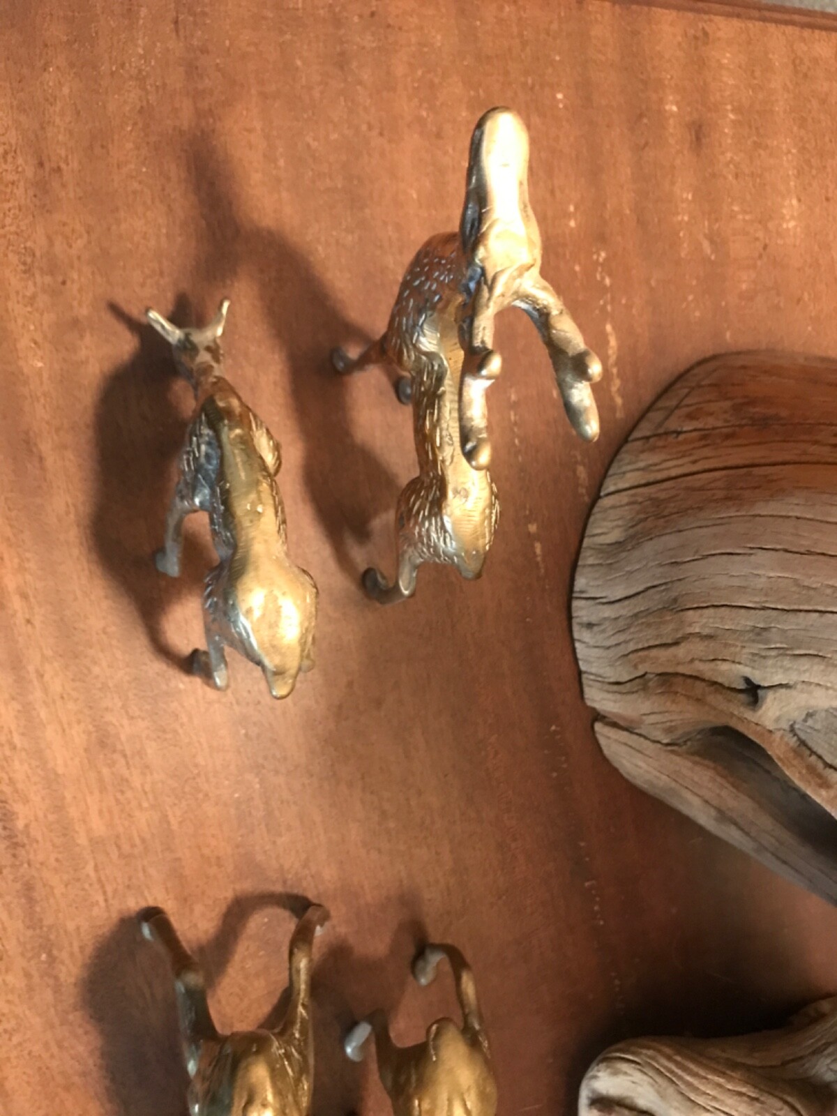 Picture 6 of 12