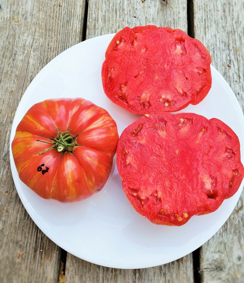 ミュージシャン tomato Pink Jazz beefsteak tomato, 15+ seeds, pink/yellow stripes