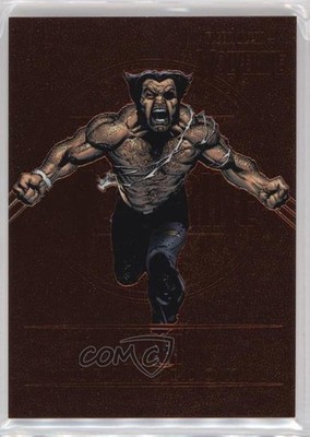 2023 Fleer Ultra Wolverine Medallions Bronze Achievement Patch #M-34 2y5