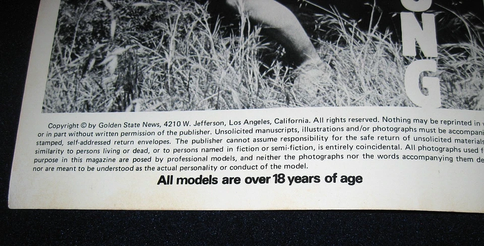 Vintage THE DESERT CONQUEROR Magazine ~ No 1 ~ Scott Thomas ~ Brad Armstrong - Image 4 of 4