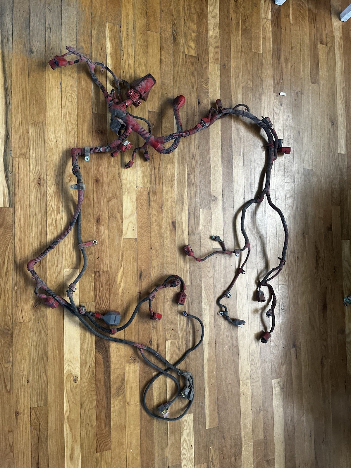 Cummins ISX15 Engine Wiring Harness, 2015 Year Model SOHC Common Rail