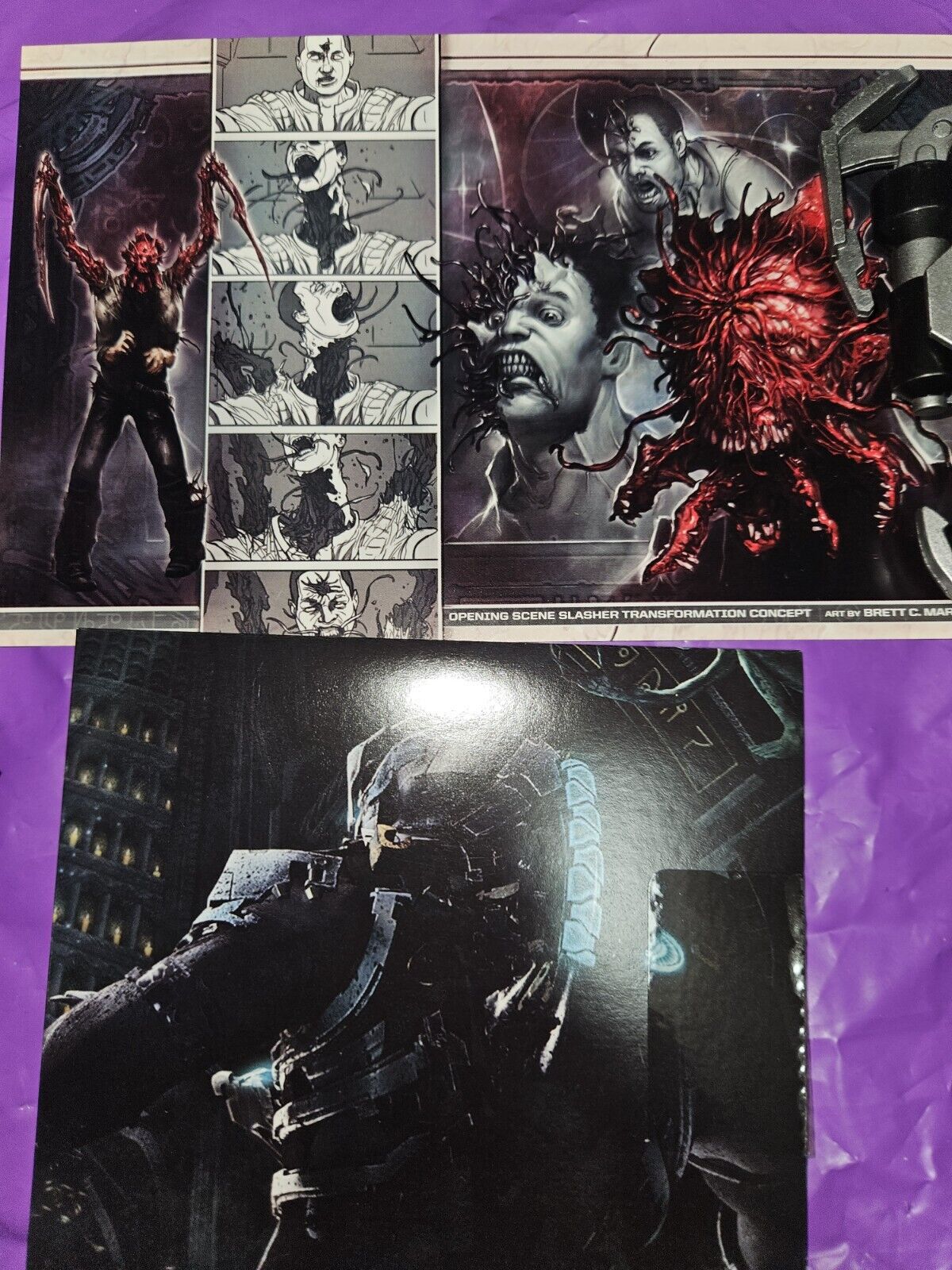 Picture 10 of 11