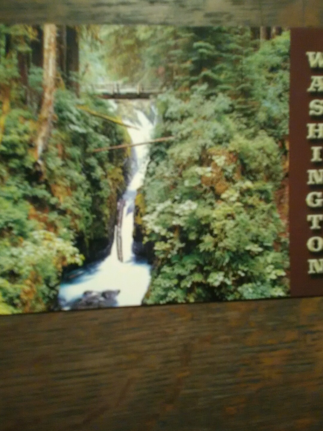 Picture 5 of 12