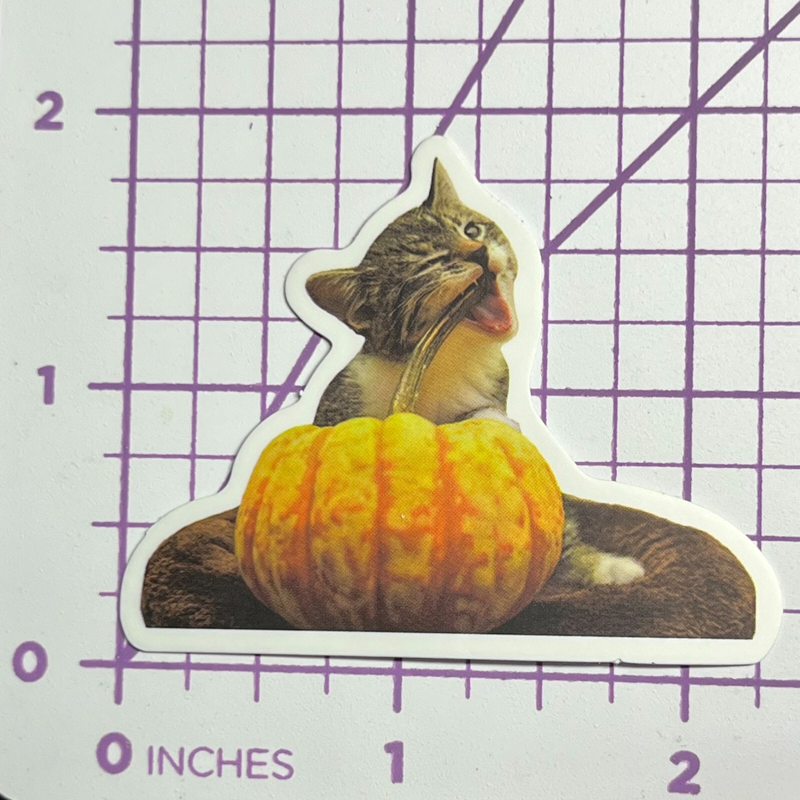 Pumpkin Spice Lover Funny Kitty Vinyl Sticker for Decals