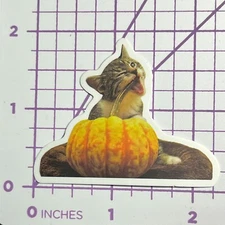 I love Pumpkin Spice TOO Kitty - Vinyl Sticker Decal Sticker Bomb Humor Funny