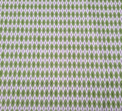 Fruit Stand BTY Anne Tavoletti P&B Textiles Boutique Small Green Argyle