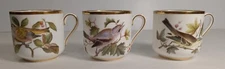 Copeland Spode Vintage 3 Bird Tea Cups Y6437 TN Warbler, Shrike, Bartram's Vireo