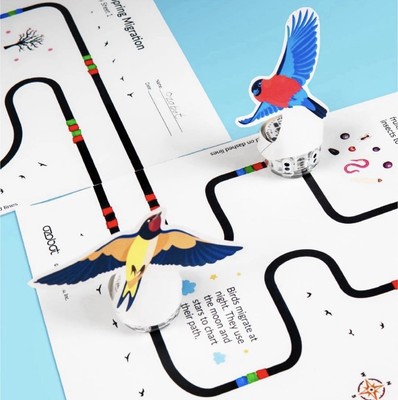 Ozobot Evo Entry Kit: Interactive Coding Robot for Kids 5+, Color Codes Incl.