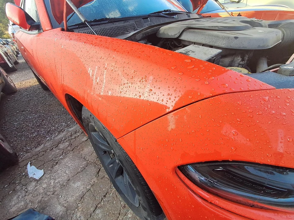 Used Rear Left Door Assembly Rear Side fits: 2018 Dodge Charger Rear Left Grade Foto 4 de 4