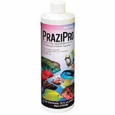 PraziPro Hikari Freshwater/Marine Prazi Pro Aquarium Fish Parasite Treatment 4oz