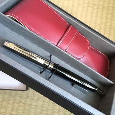 Ballpoint Pen With Schaeffer Pencil Case