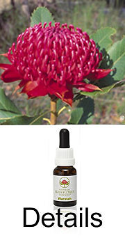 WARATAH Australian Bush Flower Essences Australische Buschblüten