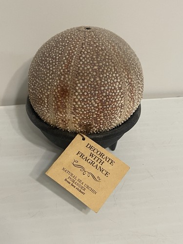 Vintage BEN RICKERT Sea Urchin Pomander Real Natural Shell Large 4.5”