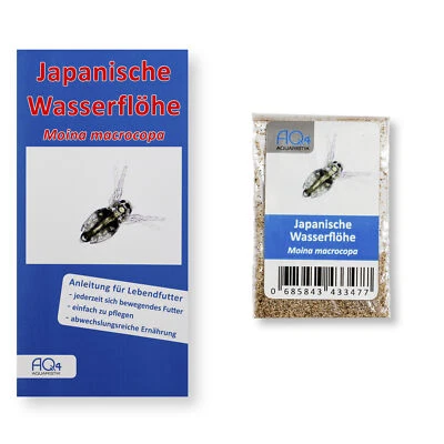 AQ4AQUARISTIK Lebendfutter Japanische Wasserflöhe Moina macrocopa Eier im Zuchtansatz