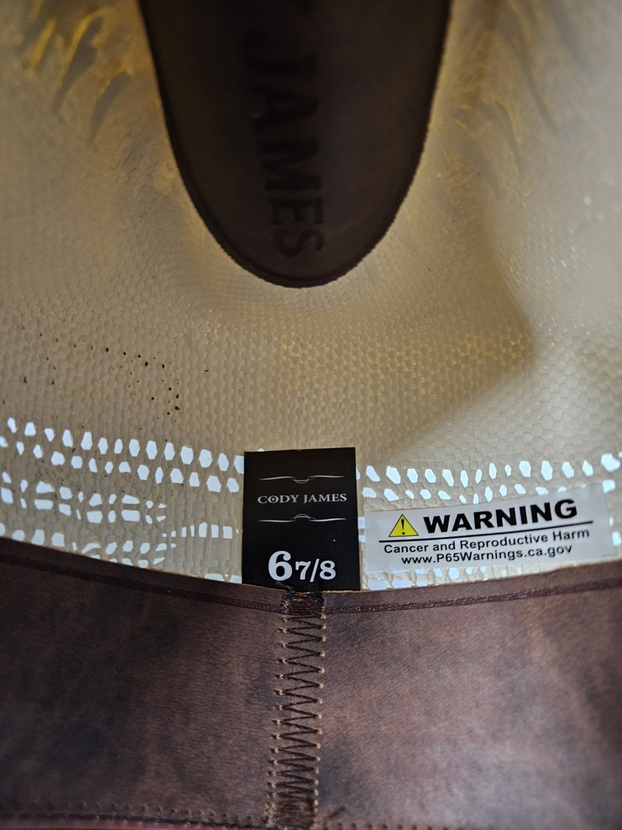 Chapeau De Cowboy Paille Cody James Bangora 15X - Taille 6 7/8 Naturel