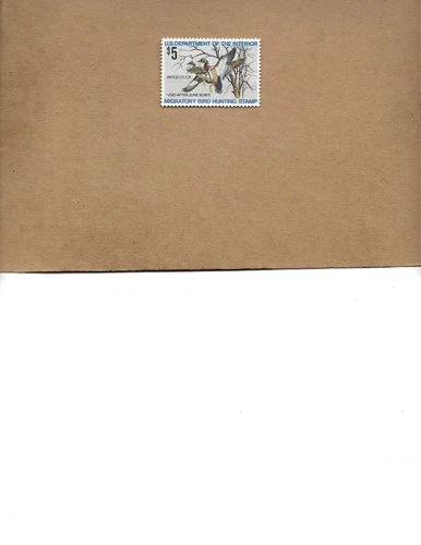 RW 41 FEDERAL DUCK STAMP MNH