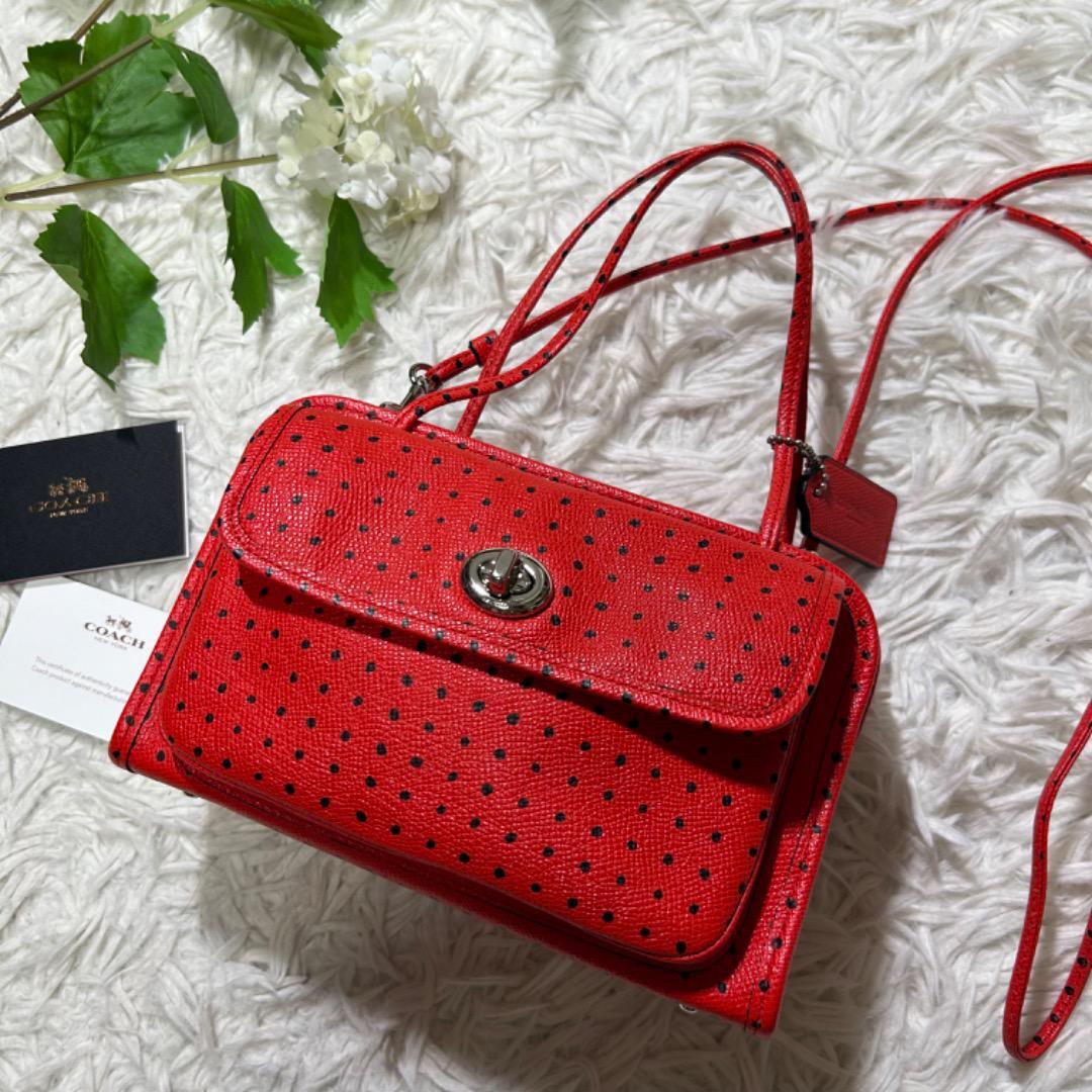 Rare Coach Shoulder Bag Crossbody Dot 2Way Paisley | eBay