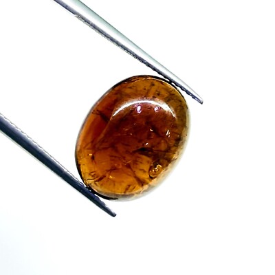 Selene Gems 12.00 Cts Natürlicher Turmalin Oval 16x13mm Cabochon Unbehandelt