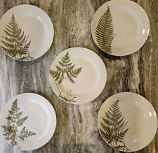 Unique Botanical Fern Dinner Plates by Mary Carol (2007) - Set of 5 - 10.5"