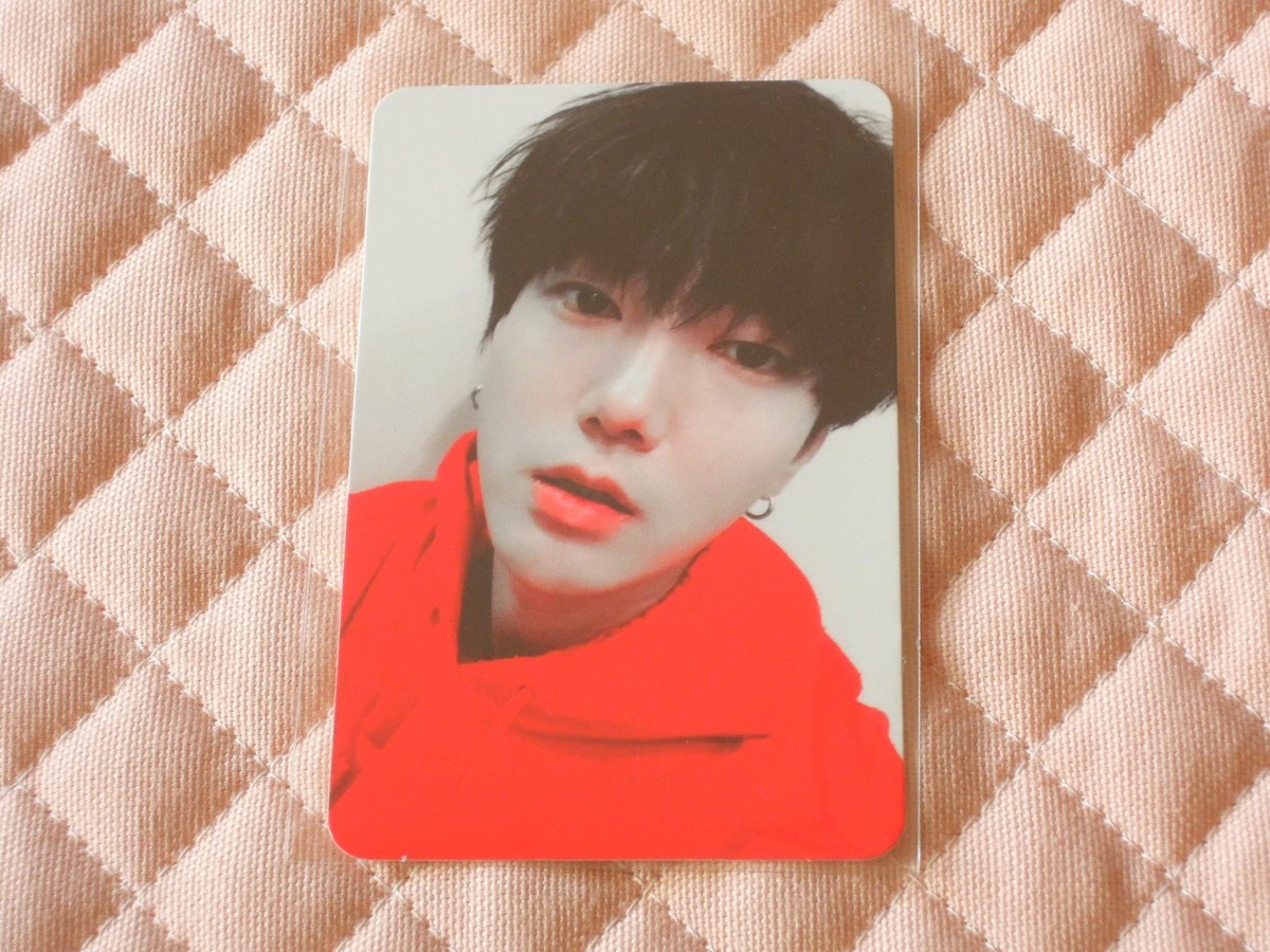 Super Junior Yesung 2nd Mini Album Spring Falling Photocard