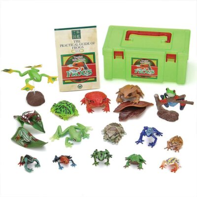 PVC Figuren Set 16 Teile in Box Official COLORATA 「Tropical Rain Forest」FROGS   